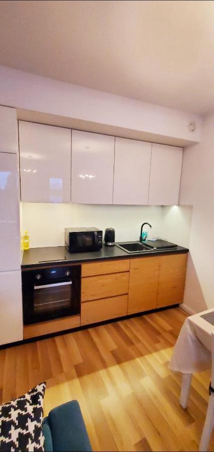 Dworska Studio Apartment Краків Екстер'єр фото